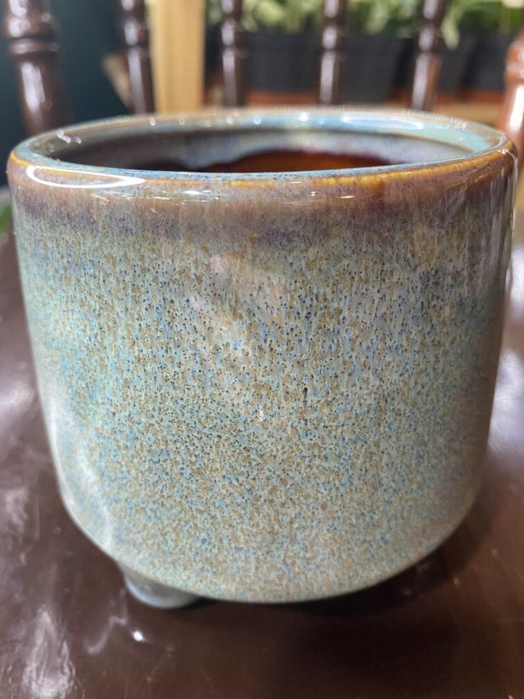 Zdjęcie doniczki Osłonka Pora Deszczowa Średnia 9x8 cm ujęcie 2