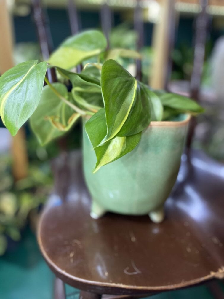 Zdjęcie doniczki Osłonka Rzeka 14x15 cm ujęcie 1