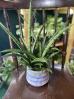 Zdjęcie doniczki Osłonka Strumyk 13x13 cm ujęcie 1