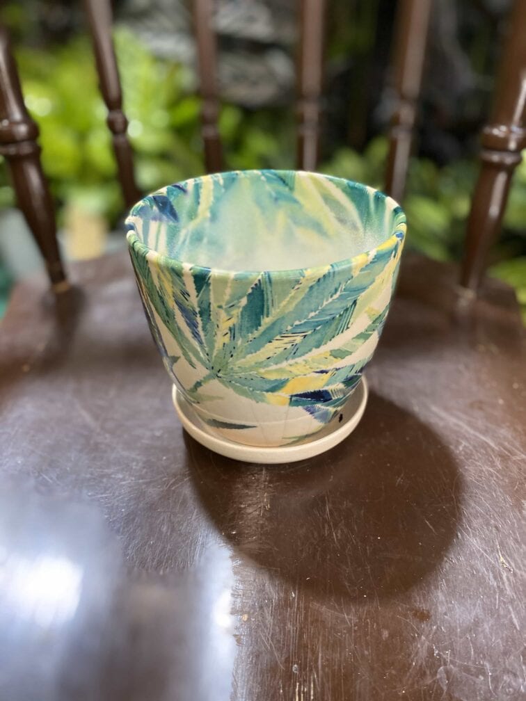 Zdjęcie Doniczka Jungle Boogie II 12x11 cm w kategorii doniczki, ujęcie 2