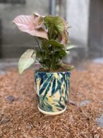 Zdjęcie Doniczka Jungle Boogie II 14x16 cm w kategorii doniczki, ujęcie 1