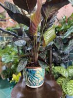 Zdjęcie Doniczka Jungle Boogie II 19x18 cm w kategorii doniczki, ujęcie 2