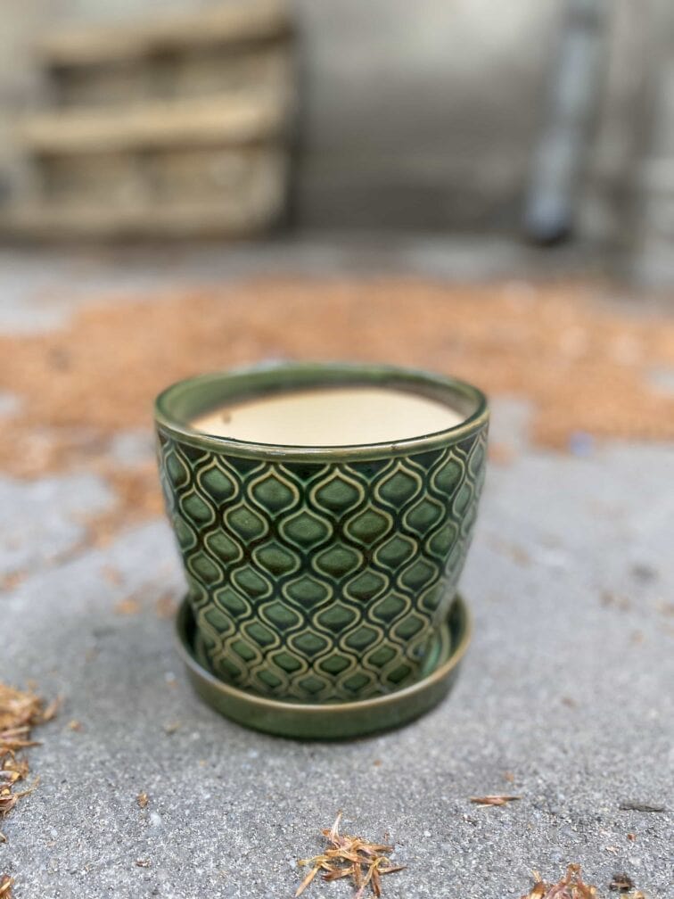 Zdjęcie Doniczka Reptile 13x12 cm w kategorii doniczki, ujęcie 2