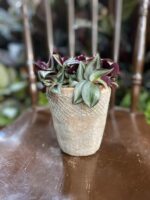 Zdjęcie Osłonka Głaz 10x13 cm w kategorii doniczki, ujęcie 1