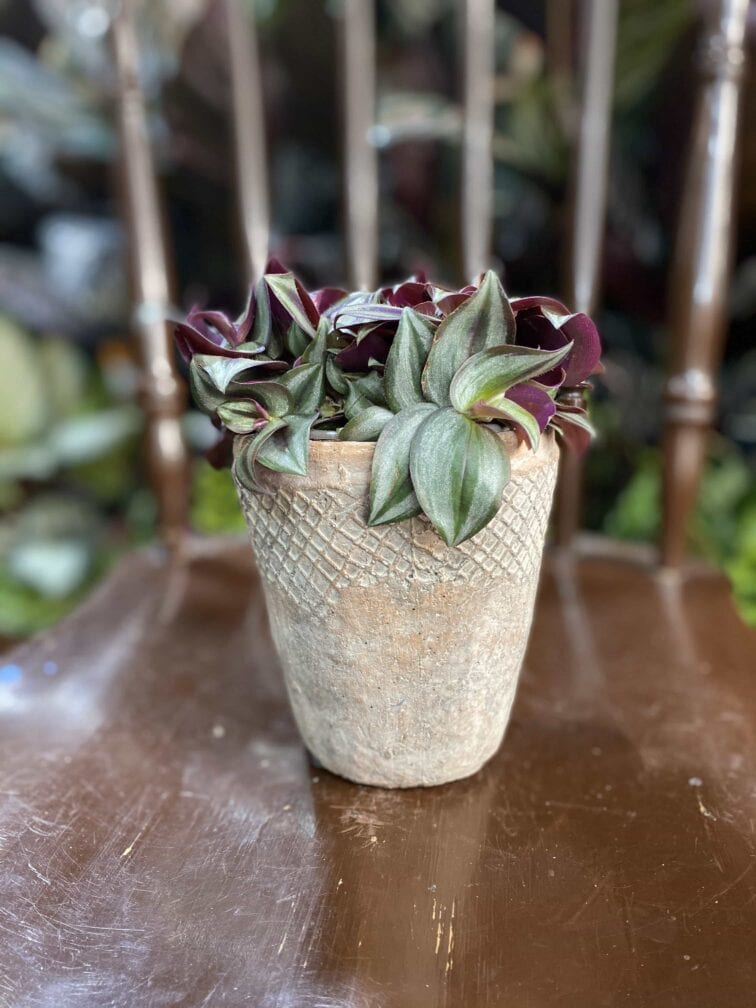 Zdjęcie Osłonka Głaz 10x13 cm w kategorii doniczki, ujęcie 1