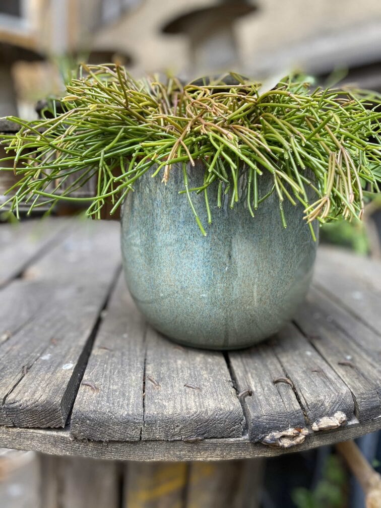 Zdjęcie Osłonka Misty Lake 15x16 cm w kategorii doniczki, ujęcie 1