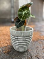 Zdjęcie Osłonka Stone Giant 15x16 cm w kategorii doniczki, ujęcie 1