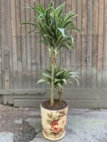 Zdjęcie Osłonka Hampshire 18x21 cm w kategorii doniczki, ujęcie 1