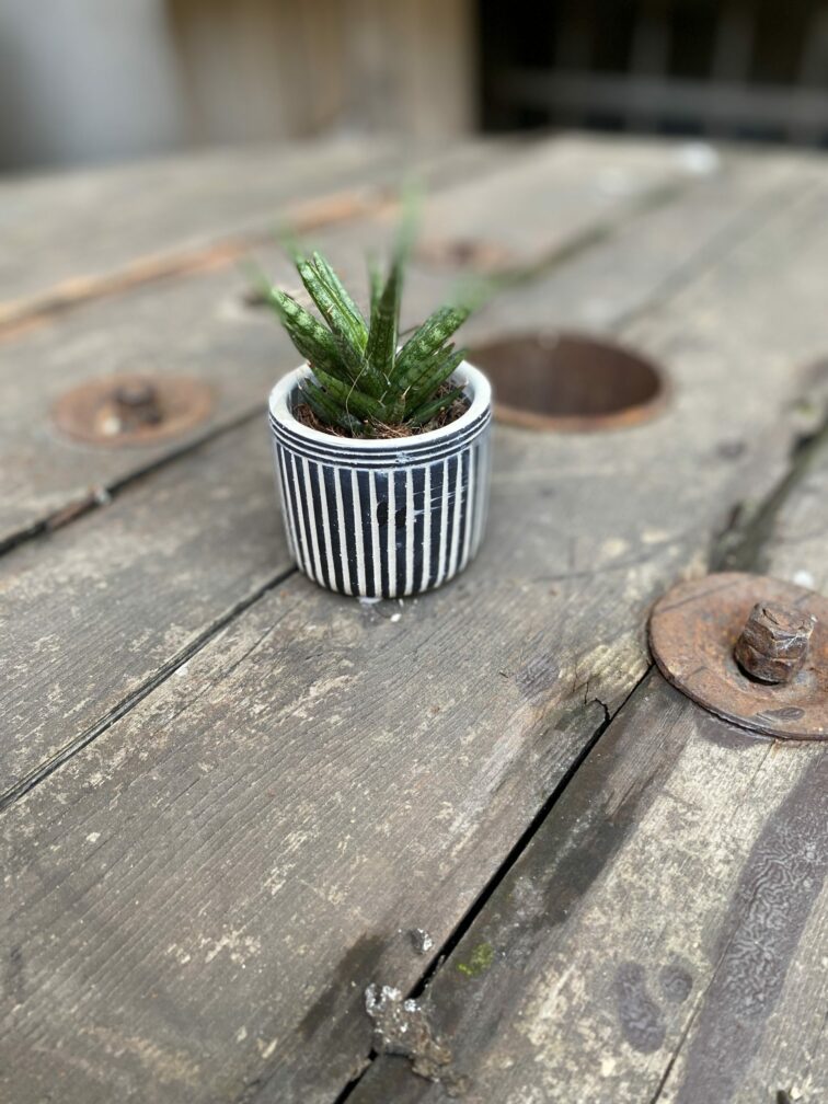 Zdjęcie Osłonka Indian 6x6 cm w kategorii doniczki, ujęcie 2