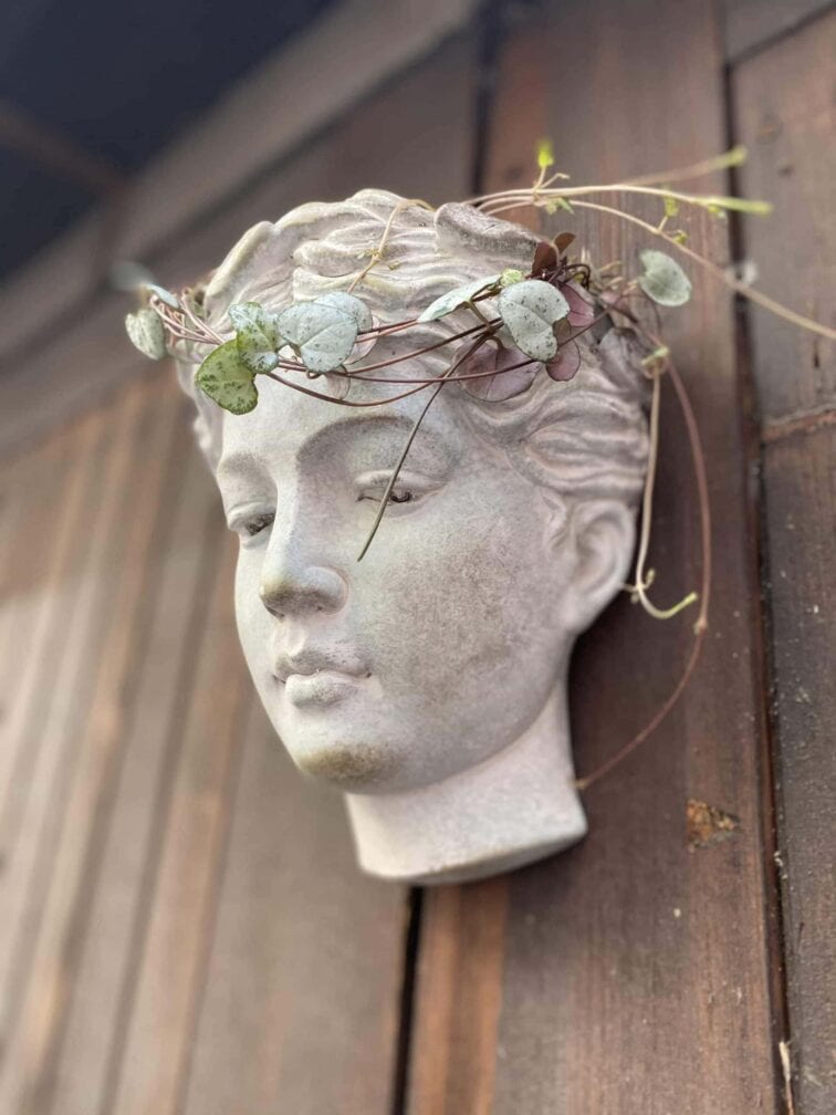 Zdjęcie Osłonka Junona Wisząca 8x18 cm w kategorii doniczki, ujęcie 1