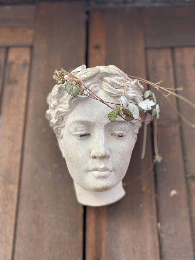 Zdjęcie Osłonka Junona Wisząca 8x18 cm w kategorii doniczki, ujęcie 2