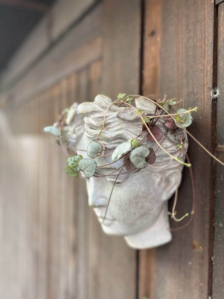 Zdjęcie Osłonka Junona Wisząca 8x18 cm w kategorii doniczki, ujęcie 3