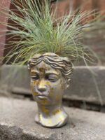 Zdjęcie Osłonka Ksantypa 9x18 cm w kategorii doniczki, ujęcie 1