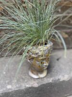 Zdjęcie Osłonka Ksantypa 9x18 cm w kategorii doniczki, ujęcie 3