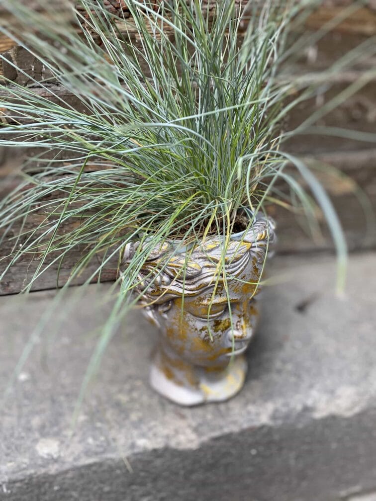 Zdjęcie Osłonka Ksantypa 9x18 cm w kategorii doniczki, ujęcie 3