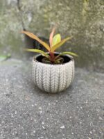 Zdjęcie Osłonka Mewa 9x9 cm w kategorii doniczki, ujęcie 1