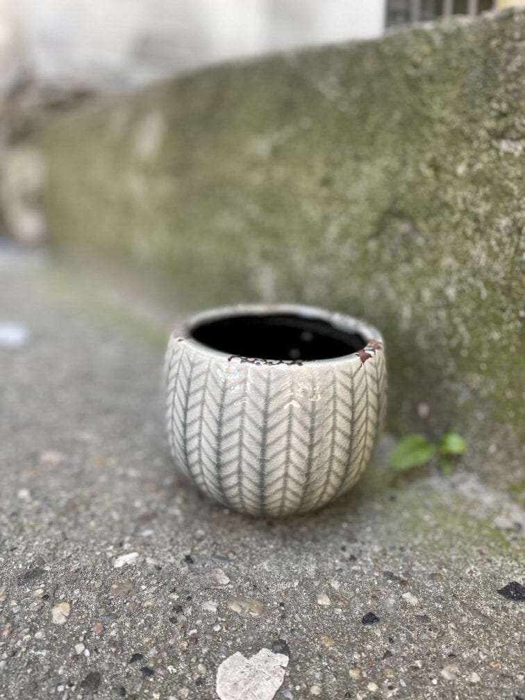 Zdjęcie Osłonka Mewa 9x9 cm w kategorii doniczki, ujęcie 2