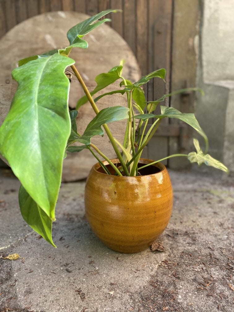 Zdjęcie Osłonka Miedź 18x20 cm w kategorii doniczki, ujęcie 2