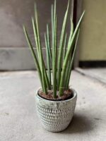 Zdjęcie Osłonka Stone Giant 12x12 cm w kategorii doniczki, ujęcie 2