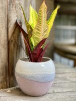 Zdjęcie Osłonka Wydma 9x10 cm w kategorii doniczki, ujęcie 2