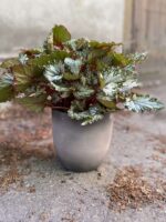 Zdjęcie Osłonka Zmierzch 17x18 cm w kategorii doniczki, ujęcie 2