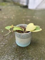 Zdjęcie Osłonka Burza Piaskowa 11x13 cm w kategorii doniczki, ujęcie 3