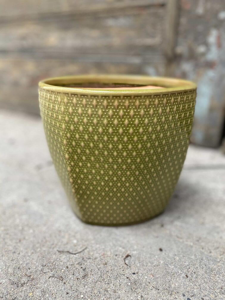 Zdjęcie Osłonka Grass 18x17 cm w kategorii doniczki, ujęcie 3