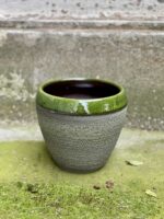 Zdjęcie Osłonka Salamandra 15x17 cm w kategorii doniczki, ujęcie 1