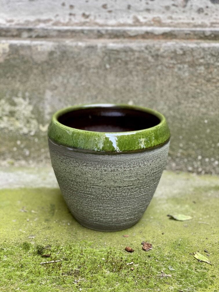 Zdjęcie Osłonka Salamandra 15x17 cm w kategorii doniczki, ujęcie 1