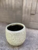 Zdjęcie Osłonka Aligator 12x17 cm w kategorii doniczki, ujęcie 1