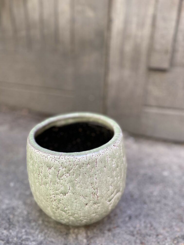 Zdjęcie Osłonka Aligator 12x17 cm w kategorii doniczki, ujęcie 1