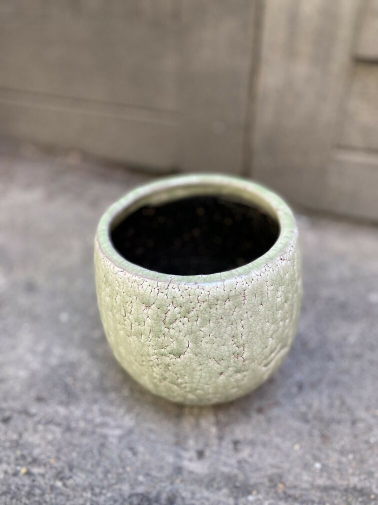 Zdjęcie Osłonka Aligator 12x17 cm w kategorii doniczki, ujęcie 2