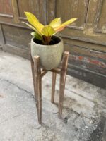 Zdjęcie Kwietnik drewniany 0x80 cm w kategorii doniczki, ujęcie 5