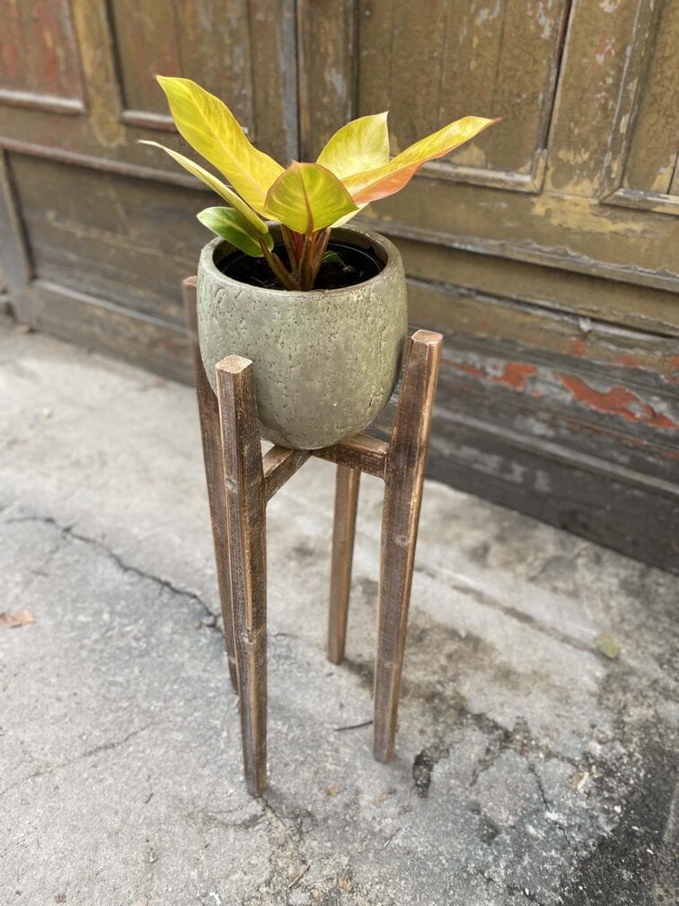 Zdjęcie Kwietnik drewniany 0x80 cm w kategorii doniczki, ujęcie 5