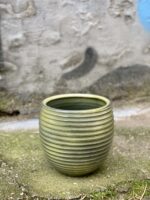 Zdjęcie Osłonka Leśne Runo 15x19 cm w kategorii doniczki, ujęcie 1