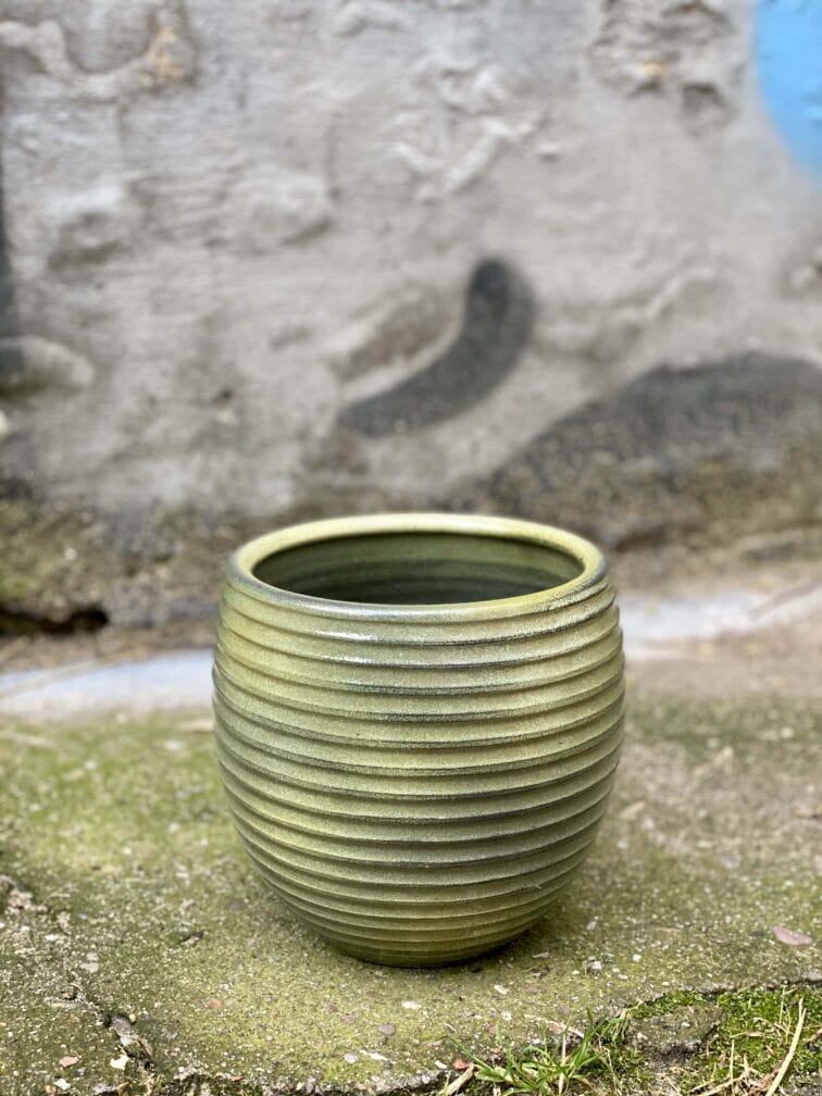 Zdjęcie Osłonka Leśne Runo 15x19 cm w kategorii doniczki, ujęcie 1