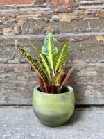 Zdjęcie Osłonka Mokradła 10x12 cm w kategorii doniczki, ujęcie 2