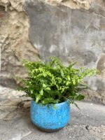 Zdjęcie Osłonka Moon Rock 12x13 cm w kategorii doniczki, ujęcie 2