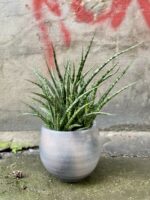 Zdjęcie Osłonka Nimbostratus 12x15 cm w kategorii doniczki, ujęcie 2