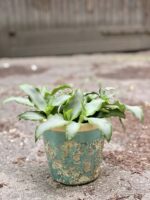 Zdjęcie Osłonka Twin Peaks 13x14 cm w kategorii doniczki, ujęcie 2