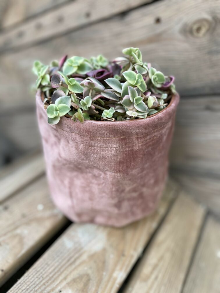 Zdjęcie doniczki lub oslonki: Osłonka Velvet Bag 12x14 cm, ujęcie 2