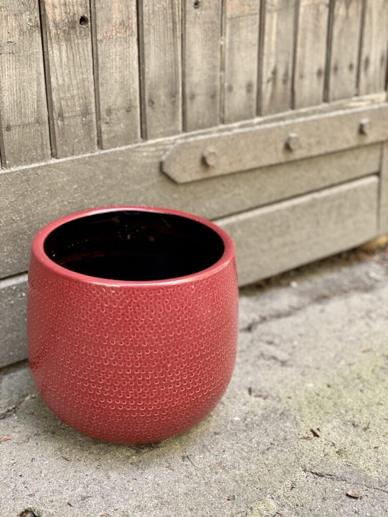 Zdjęcie doniczki lub oslonki: Osłonka Red Dragon 18x19 cm, ujęcie 3