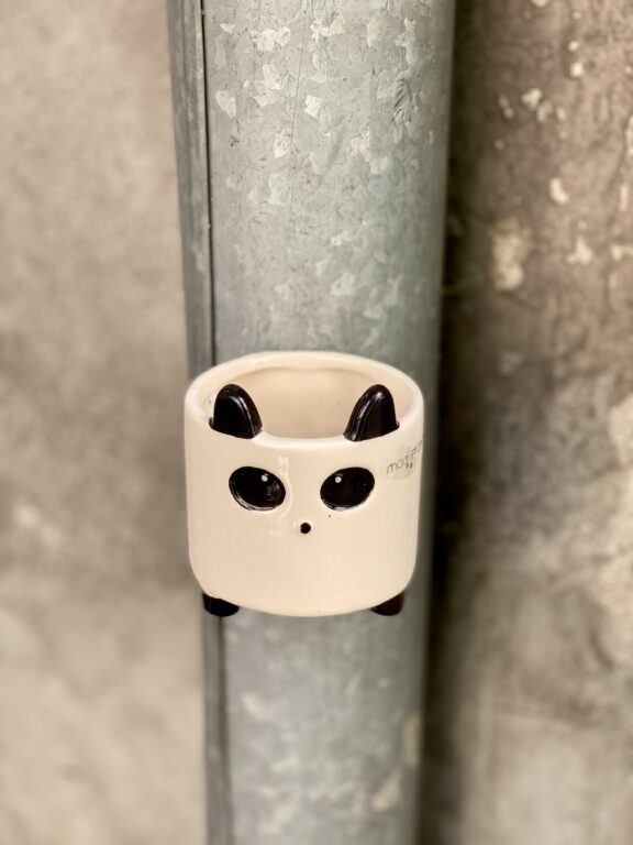 Zdjęcie doniczki lub oslonki: Osłonka magnetyczna Panda 6x6 cm, ujęcie 1