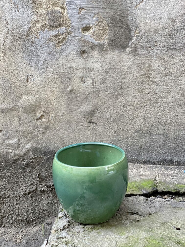 pasikornik_12x12-0.jpg Zdjęcie doniczki lub oslonki: Pasikornik 12x12 cm, ujęcie 1