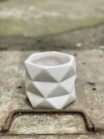 Zdjęcie doniczki lub oslonki: Czasoprzestrzeń 9x10 cm, ujęcie 1