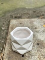 Zdjęcie doniczki lub oslonki: Czasoprzestrzeń 9x10 cm, ujęcie 3