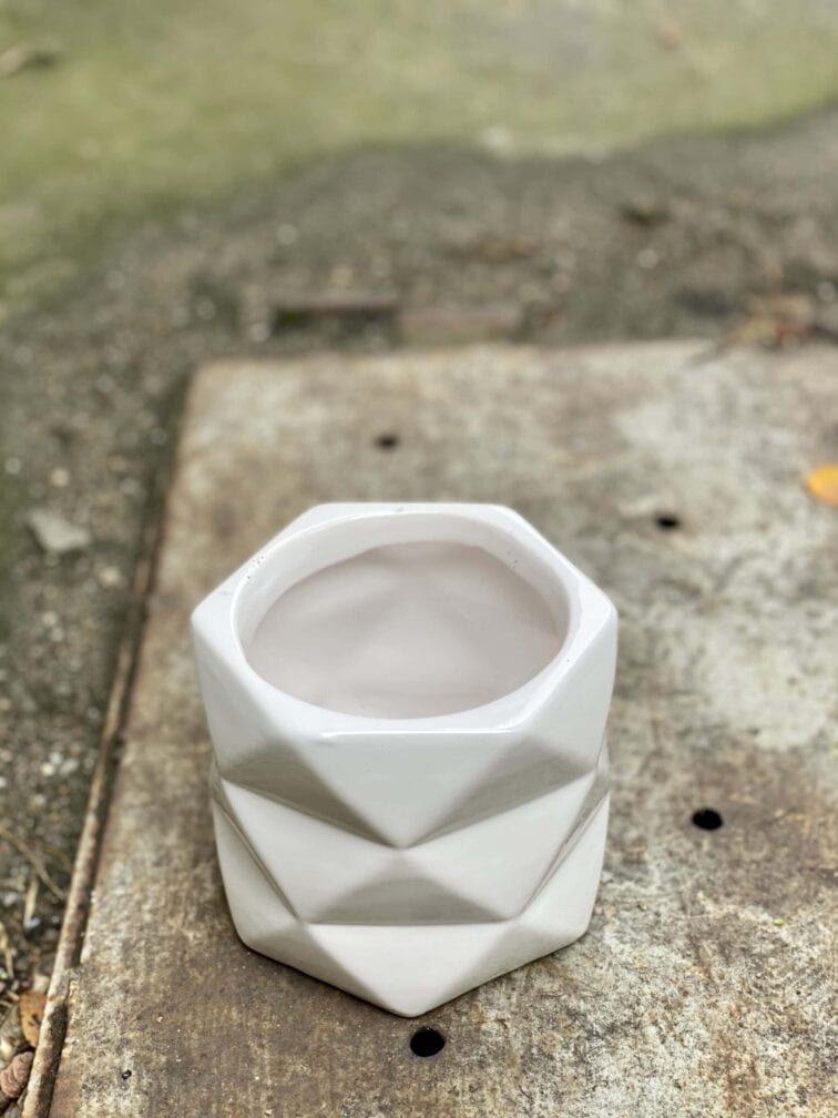 Zdjęcie doniczki lub oslonki: Czasoprzestrzeń 9x10 cm, ujęcie 3