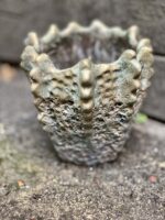 Zdjęcie doniczki lub oslonki: Osłonka Lordran 11x14 cm, ujęcie 1