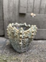 Zdjęcie doniczki lub oslonki: Osłonka Lordran 11x14 cm, ujęcie 3