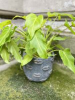 Zdjęcie doniczki lub oslonki: Osłonka Black and Yellow 15x16 cm, ujęcie 2